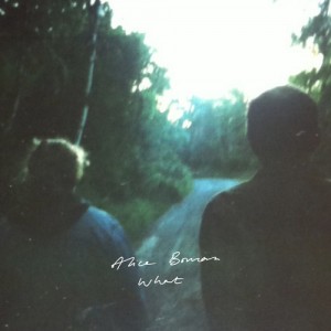 Alice Boman - What - Single Cover 2014