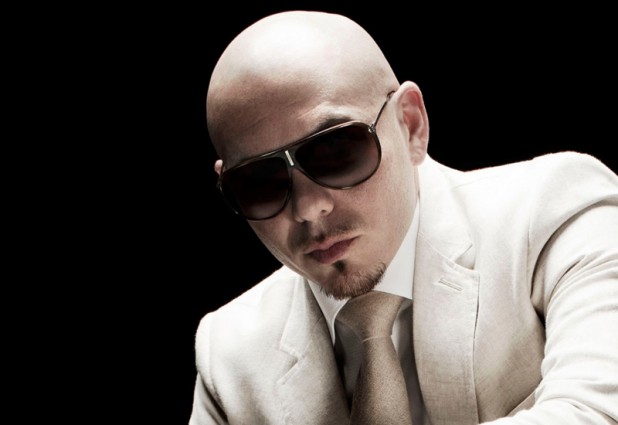 pitbull press pic