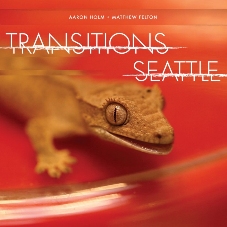 AARON HOLM + MATTHEW FELTON - Transitions - Album Cover 2014