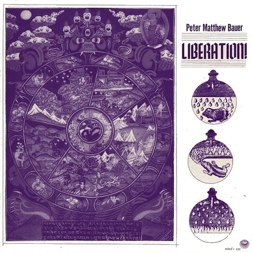 Peter Matthew Bauer - Liberation