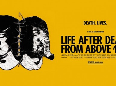 Life after Death From Above 1979