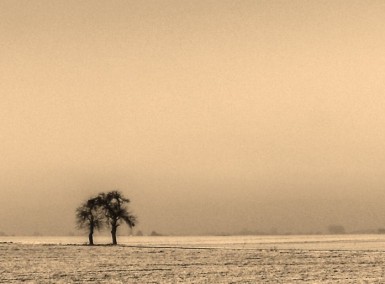 Melancholia - Photo by Haakon von Martinsky