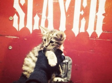 Slayer - Kitten