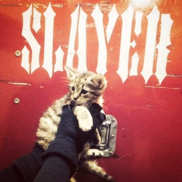 Slayer - Kitten