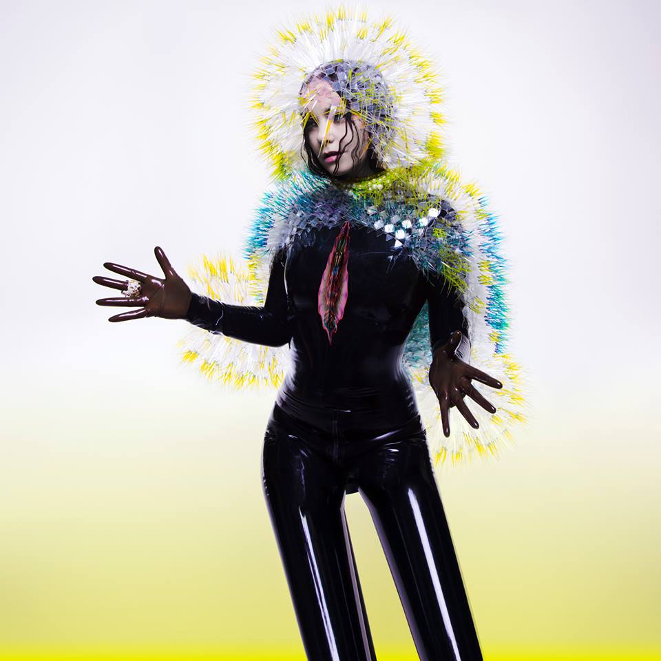 Björk – 'Vulnicura' - Cover