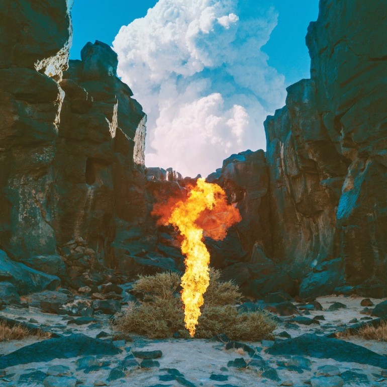 bonobo-migration-artwork